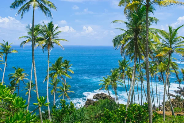 Gizli plaj Mirissa, Sri Lanka