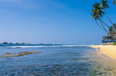 sri Lanka tropikal plaj