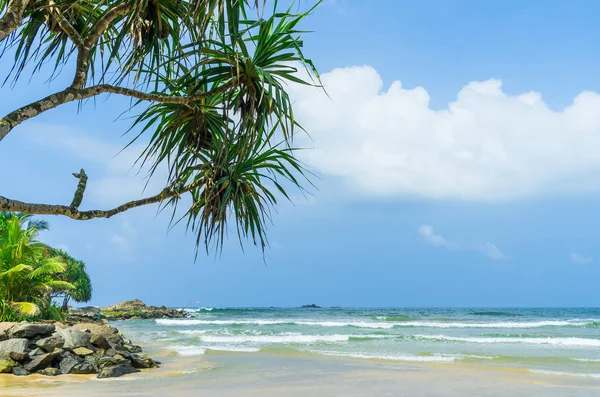 Praia tropical no Sri Lanka — Fotografia de Stock