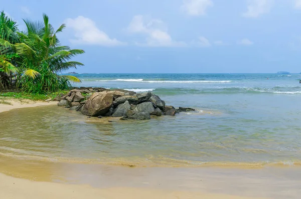 Sri Lanka tropikal plaj — Stok fotoğraf