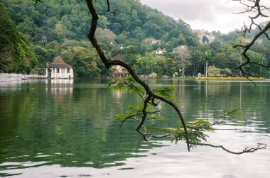 Diş, Kandy Tapınağı,