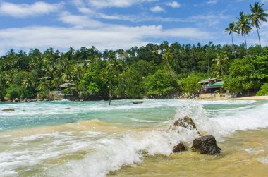 Tropikal plaj Sri Mirissa