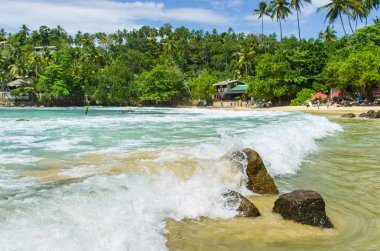 Tropikal plaj Sri Mirissa