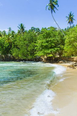 Tropikal plaj Sri Mirissa