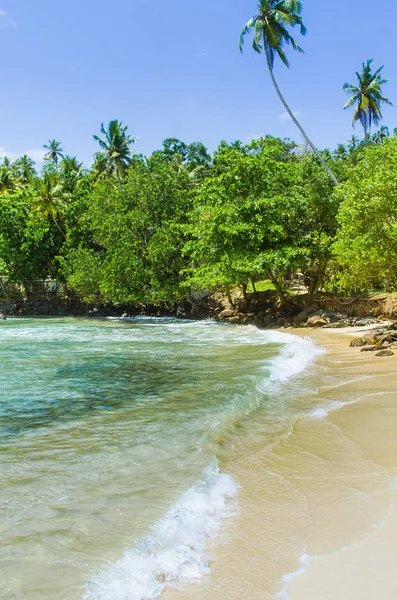 Тропічний пляж в Шрі Мірісса — стокове фото