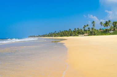sri Lanka tropikal plaj
