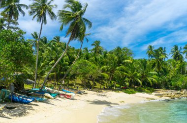 sri lanka teknede Balık tutma