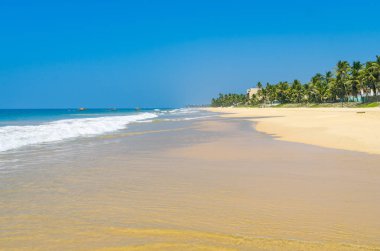 sri Lanka tropikal plaj