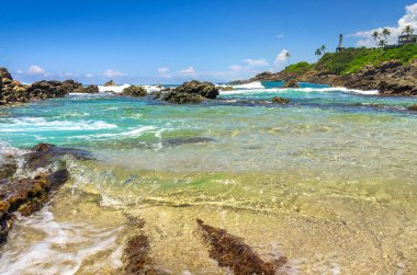 sri Lanka tropikal plaj