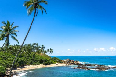 sri Lanka tropikal plaj