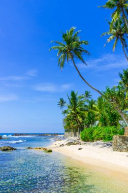 sri Lanka tropikal plaj
