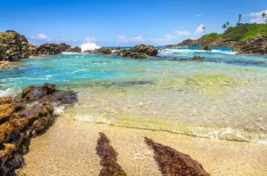 sri Lanka tropikal plaj