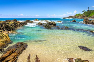 sri Lanka tropikal plaj