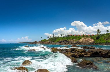 sri Lanka tropikal plaj