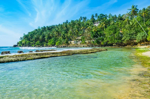 Tropikal plaj Sri Mirissa