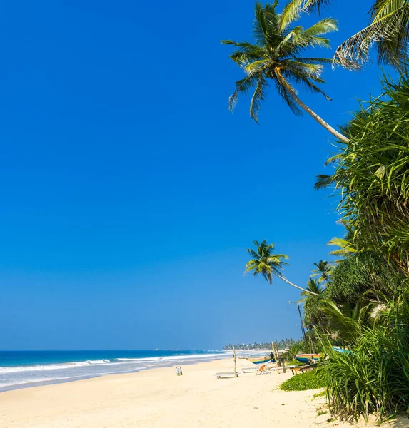 Tropikalnej plaży w sri lanka, — Zdjęcie stockowe