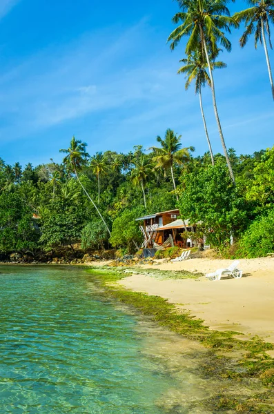 Praia tropical no Sri Lanka . — Fotografia de Stock