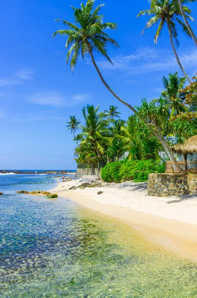 Sri Lanka plaj. Hikkaduwa.