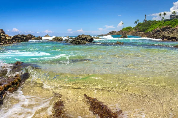 sri Lanka tropikal plaj