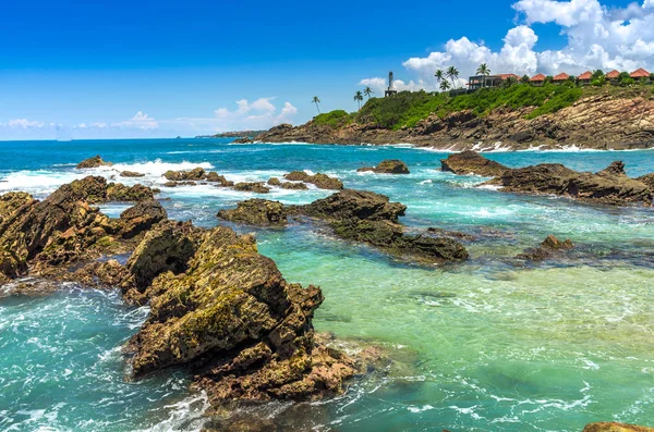 sri Lanka tropikal plaj