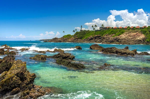 sri Lanka tropikal plaj