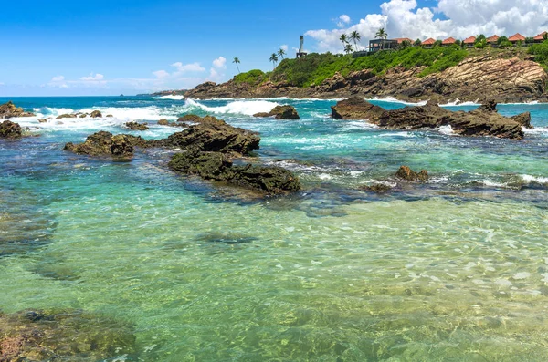 sri Lanka tropikal plaj