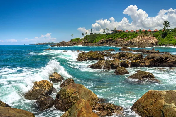 sri Lanka tropikal plaj