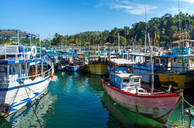 Mirissa, Sri Lanka - Aralık.