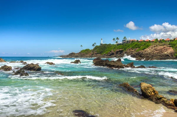 sri Lanka tropikal plaj