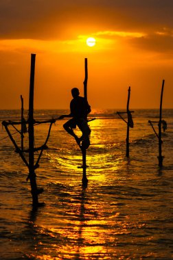 Geleneksel Uzunbacak siluetleri