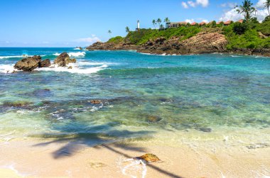 sri Lanka tropikal plaj