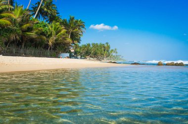 sri Lanka tropikal plaj