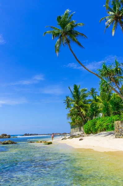 Tropischer strand in sri lanka, — Stockfoto