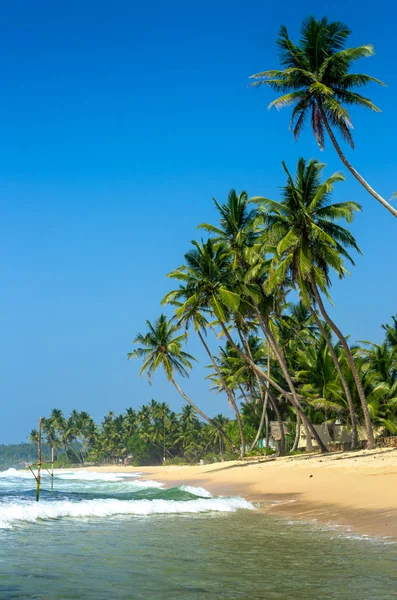 Plaja tropicala din Sri Lanka — Fotografie, imagine de stoc