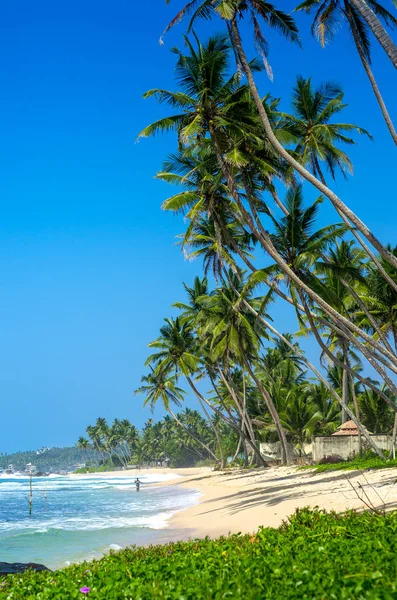 Praia tropical no Sri Lanka — Fotografia de Stock