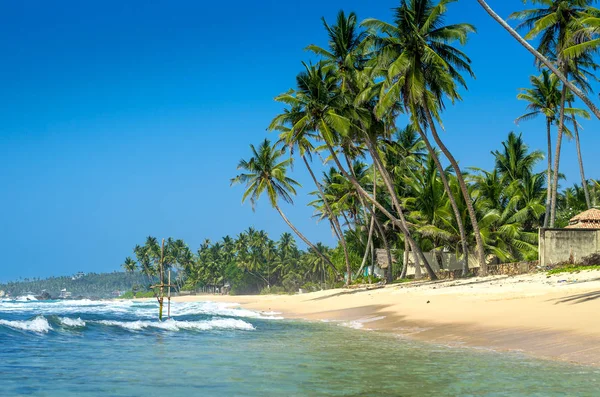 Praia tropical no Sri Lanka — Fotografia de Stock