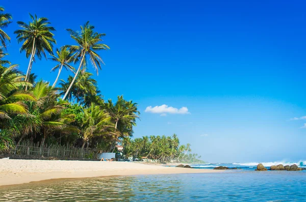 Tropisch strand in sri lanka — Stockfoto