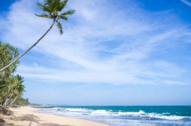 sri Lanka tropikal plaj