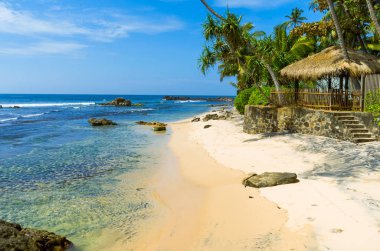 sri Lanka tropikal plaj