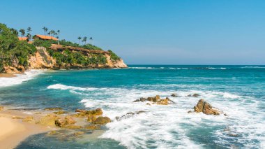 sri Lanka tropikal plaj