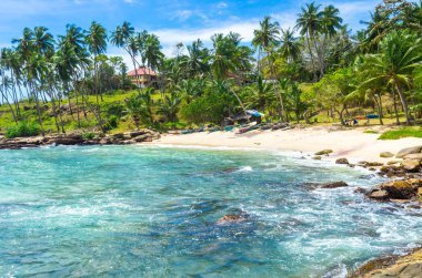 Tropikal plaj Sri Mirissa