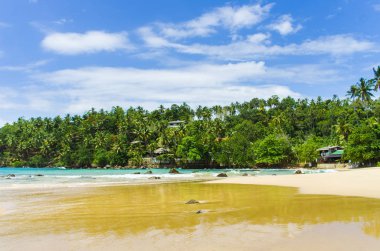 Tropikal plaj Sri Mirissa