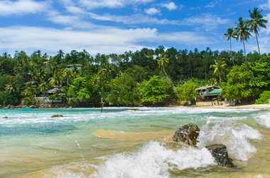 Tropikal plaj Sri Mirissa