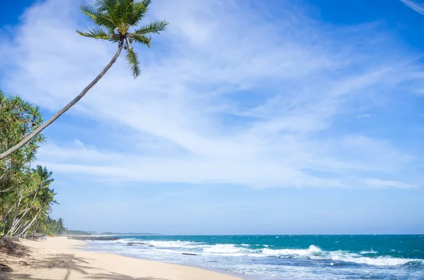 Playa tropical en Sri Lanka — Foto de Stock