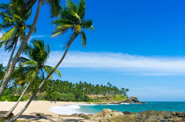 Sri Lanka tropikal plaj — Stok fotoğraf