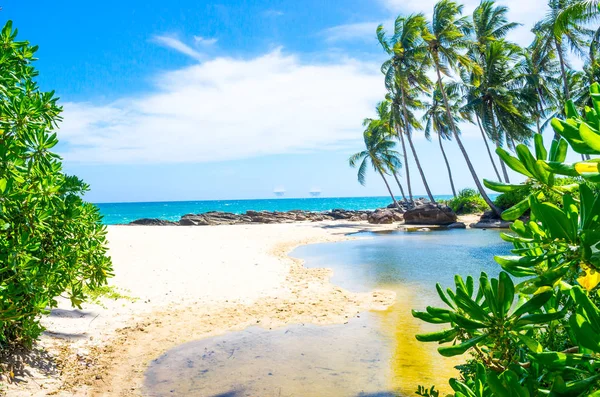 Tropical beach in Sri Lanka — Stock Photo, Image