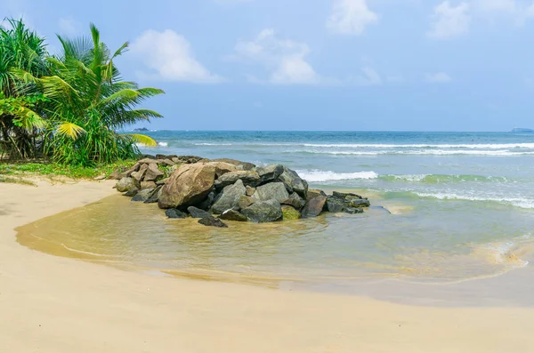 Sri Lanka tropikal plaj — Stok fotoğraf