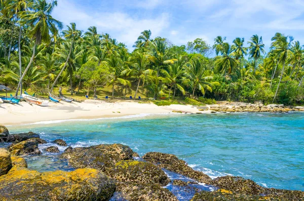 Praia tropical no Sri Lanka — Fotografia de Stock