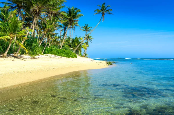 श्रीलंका में उष्णकटिबंधीय समुद्र तट — स्टॉक फ़ोटो, इमेज