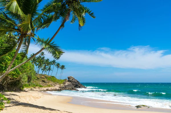 Praia tropical no Sri Lanka — Fotografia de Stock